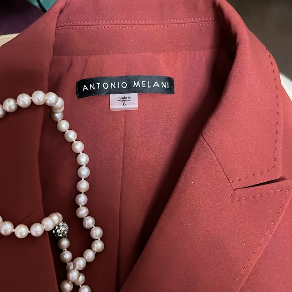 Antonio Melani Suit